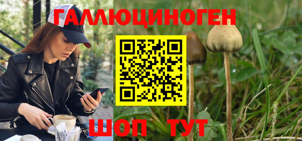 Галлюциногенные грибы мицелий Заволжье