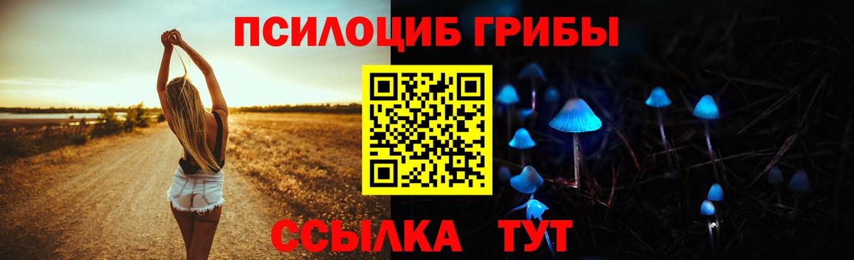 Псилоцибиновые грибы мицелий  Галлюциногенные грибы мицелий  купить закладку  Заволжье  Вход с VPN 